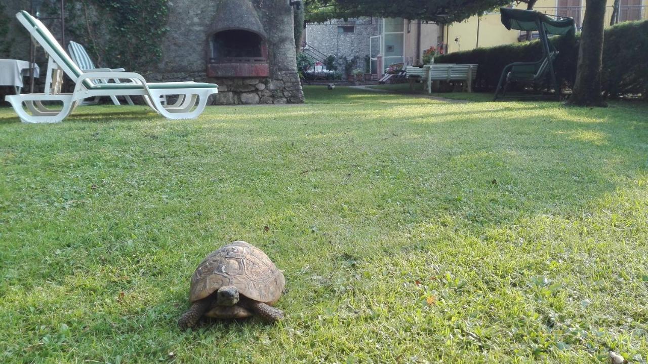 Corte Faliva Brenzone sul Garda Exteriör bild